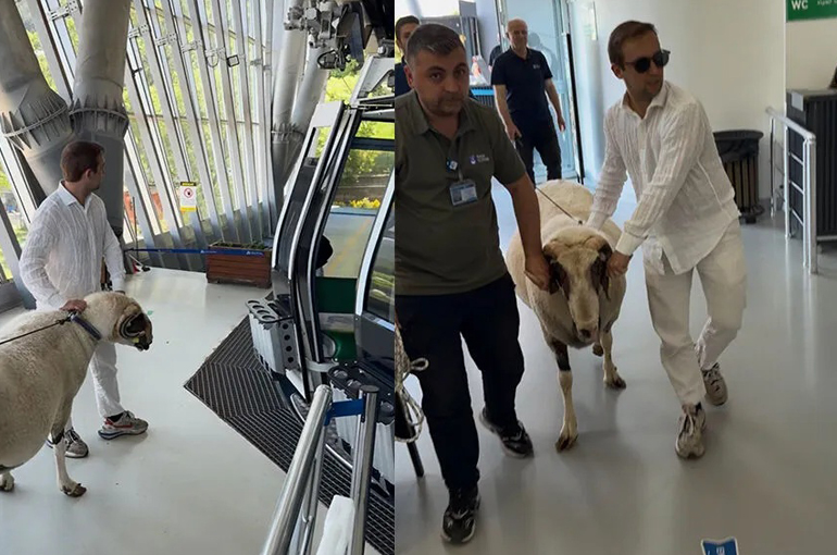 Bayramda keseceği koçla teleferik keyfi yaptı!