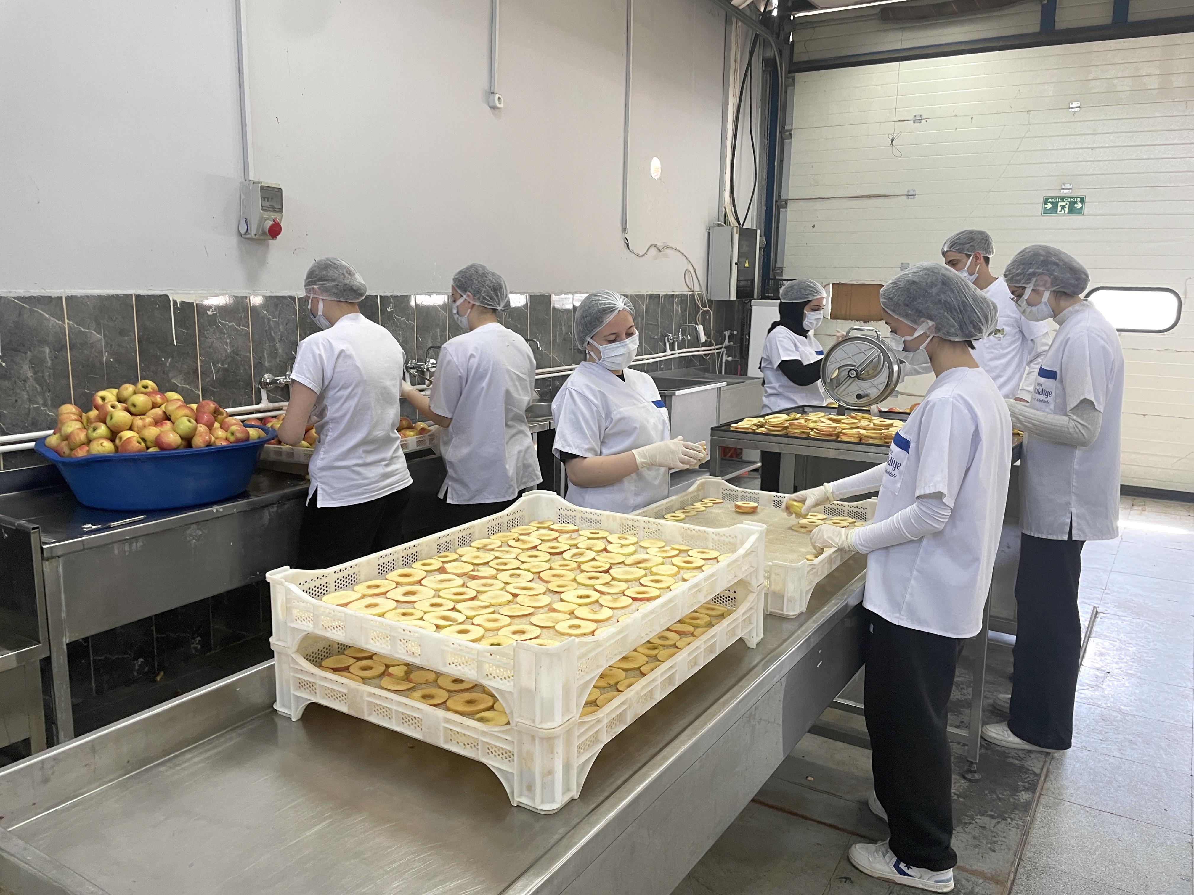 Bursa'da 135 yıllık tarım lisesinde yetiştirilen ürünler tüketiciye ulaşıyor