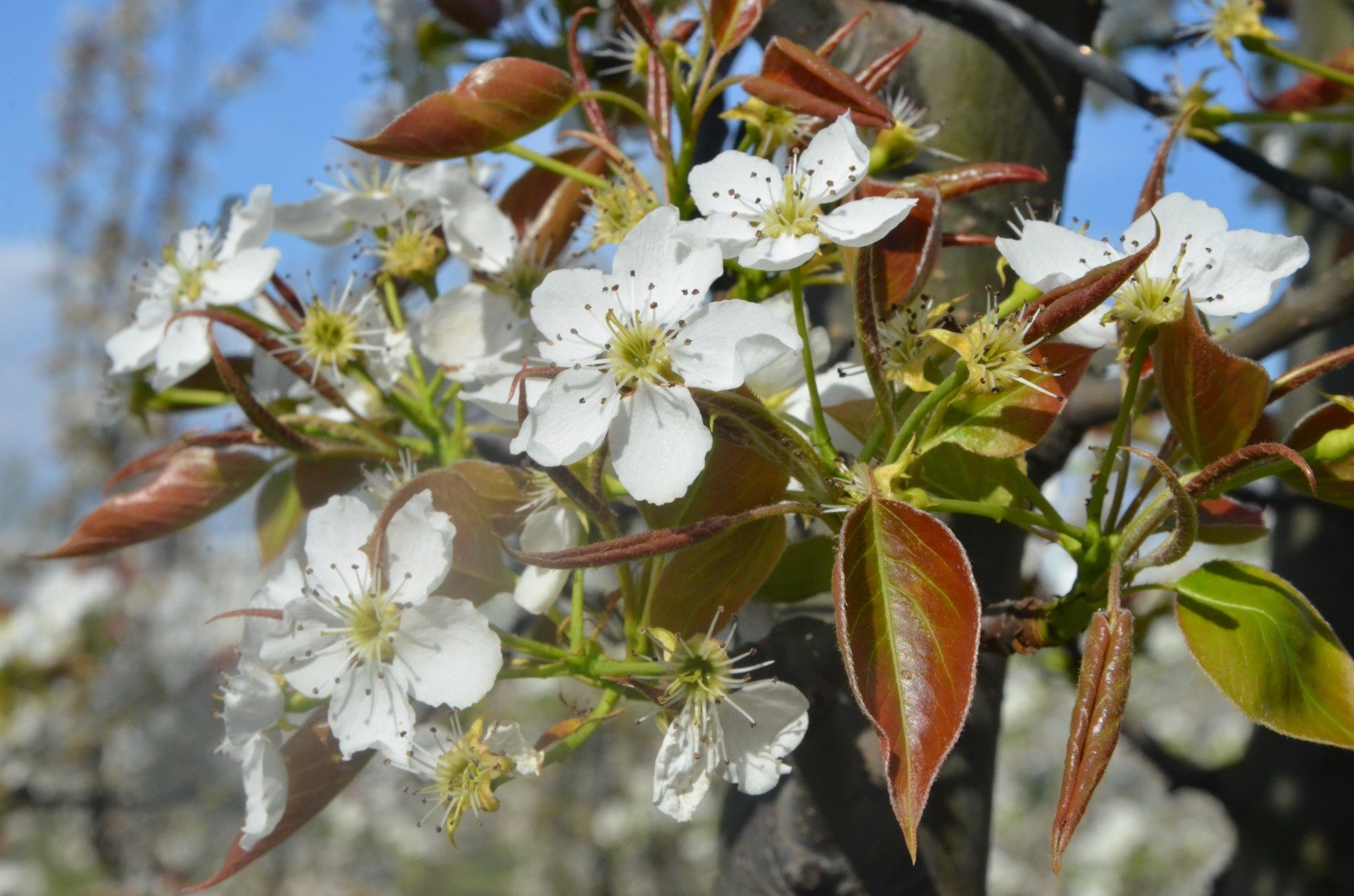 Bursa'da kartpostallık görüntüler