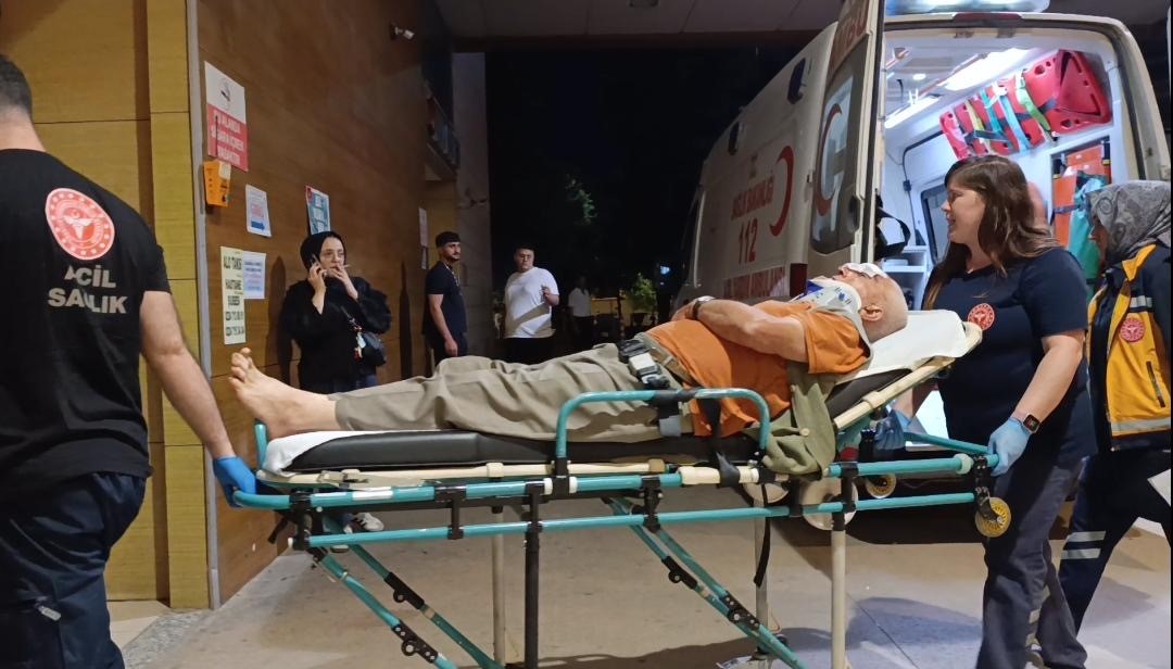 Erik toplamak için çıktığı ağaçtan düşerek yaralandı