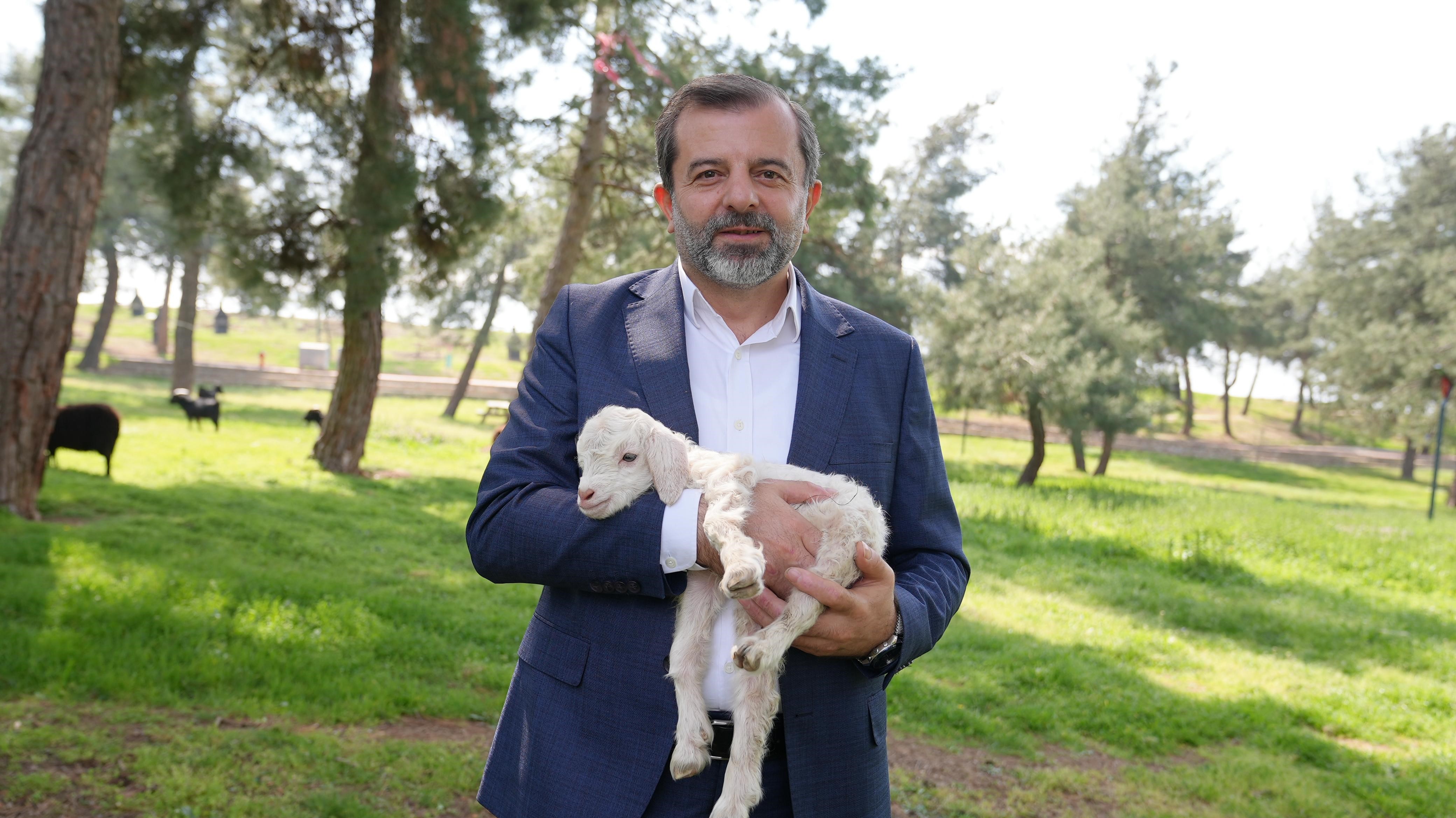 Gürsu Butik Hayvanat Bahçesi yeni sakinlerini ağırlıyor