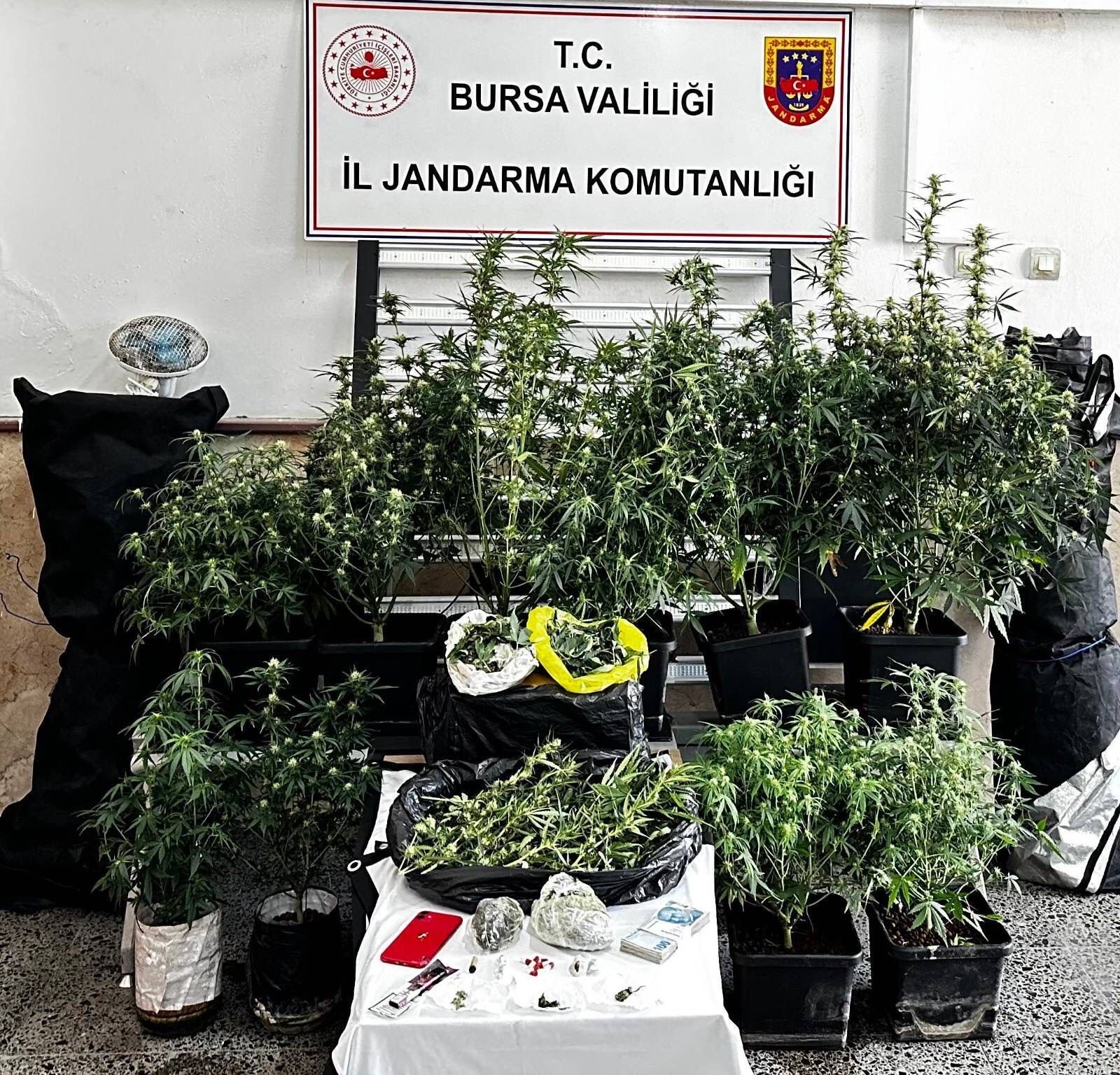 Osmangazi'de uyuşturucu operasyonu: 1 şüpheli tutuklandı