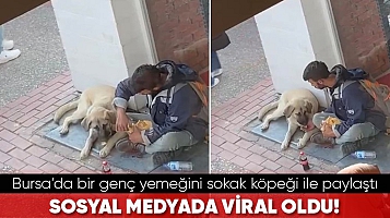 Bursa’da bir genç yemeğini sokak köpeği ile paylaştı... Sosyal medyada viral oldu!