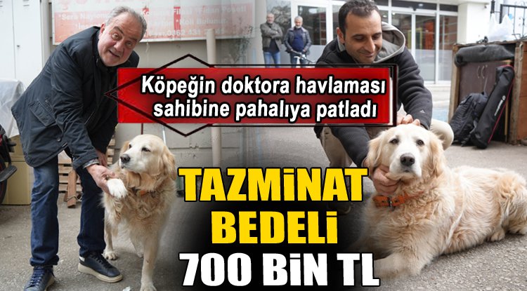 Köpeğin doktora havlaması sahibine 700 bin TL'ye patladı