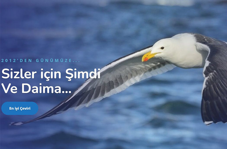 2026 En Uygun Yeminli Tercüme Fiyatları: Kalite ve Uygun Maliyeti Nasıl Dengeleriz?