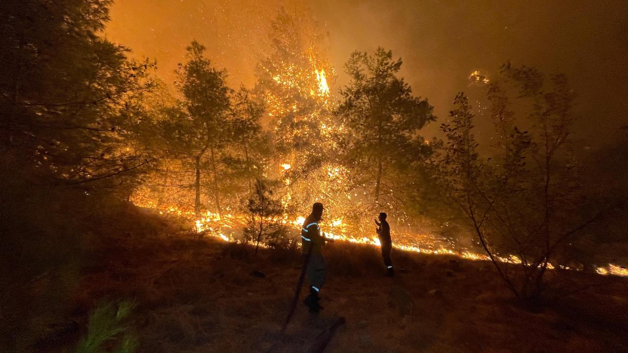 2026'te çıkan orman yangınlarının yüzde 96'sı insan kaynaklı
