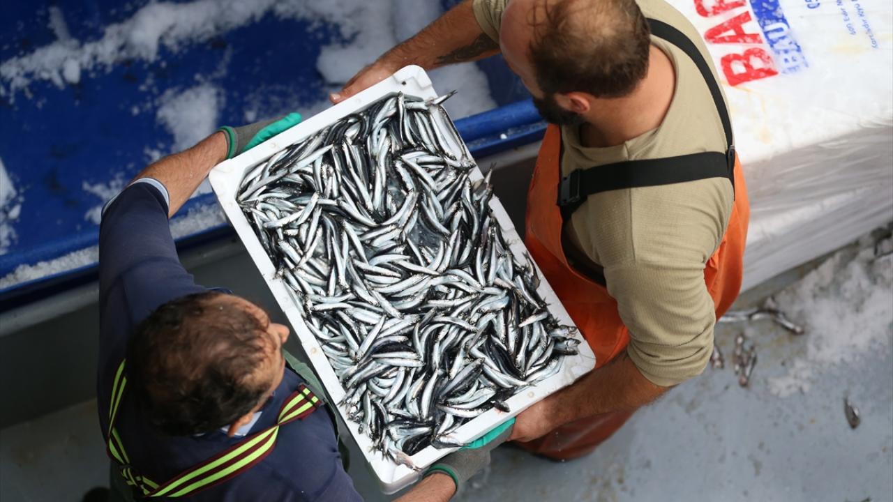Balıkçılar av sezonunu kapatıyor