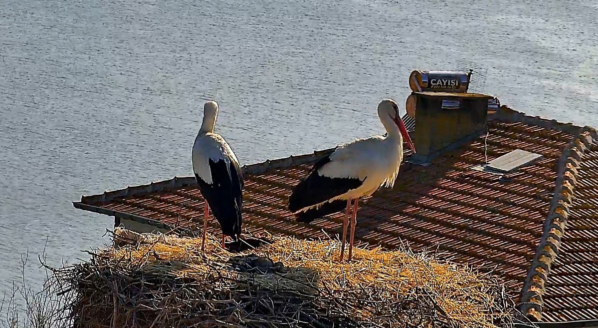Beklenen buluşma gerçekleşti: Yaren, Nazlı'sına kavuştu