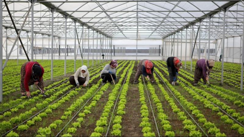 Bölgesel kalkınma için 15,6 milyar liralık yatırım yapılacak