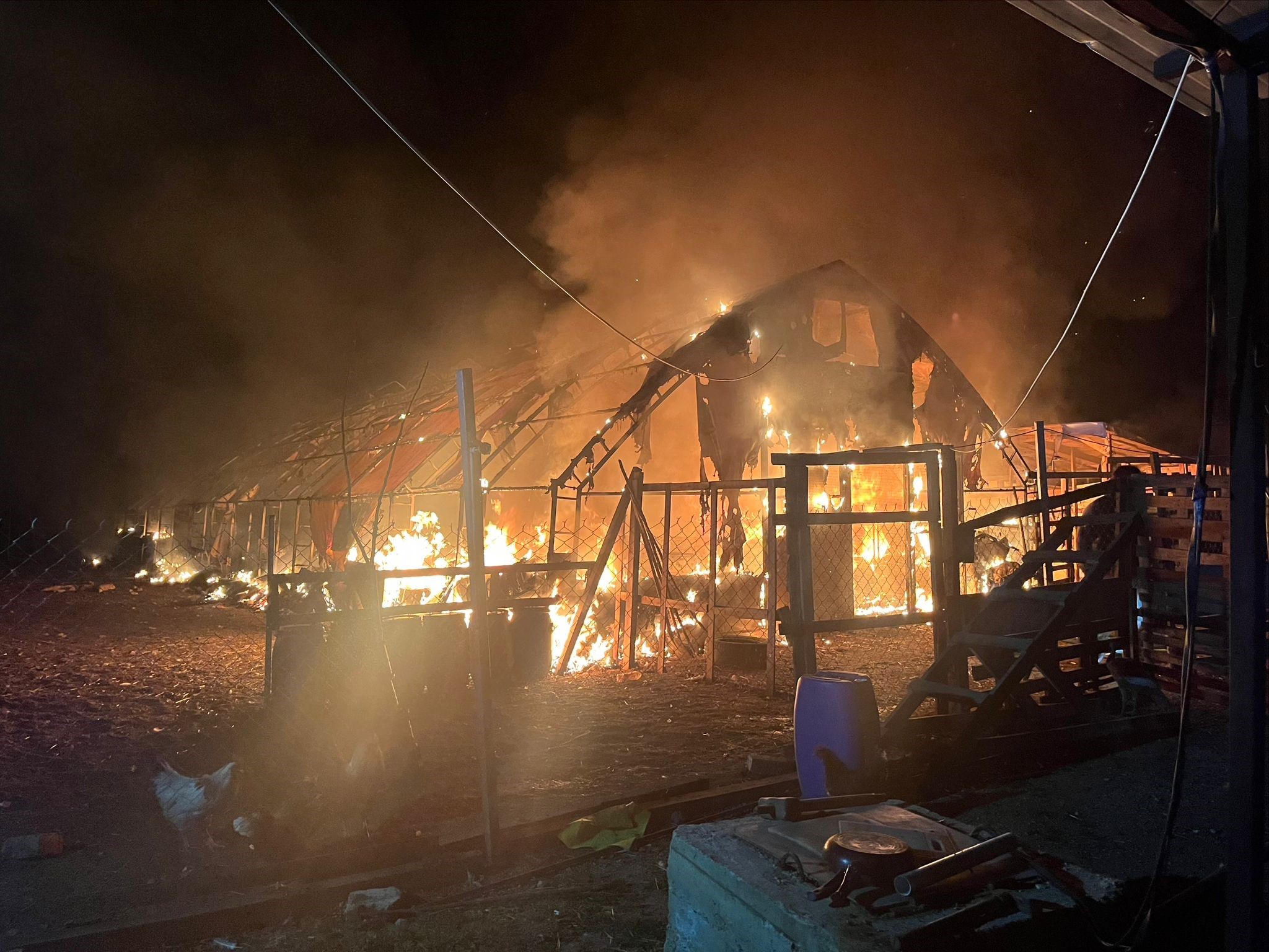 Bursa'da çiftlikte yangın: 580 kanatlı hayvan telef oldu