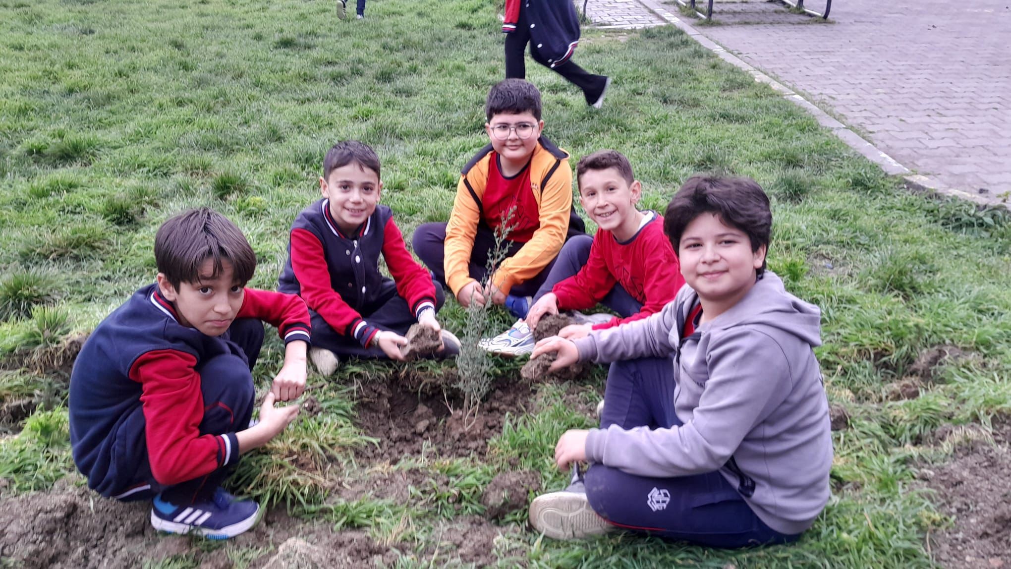 Bursa'da ilköğretim öğrencileri selvi fidanı diktiler