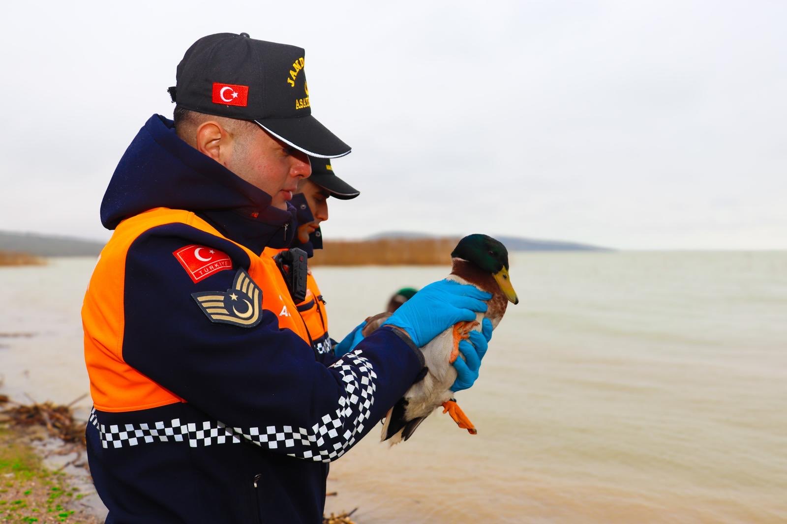 Bursa'da kaçak avcılara 431 bin 979 lira idari para cezası kesildi
