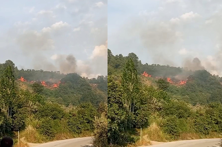 Bursa'da makilik alanda yangın