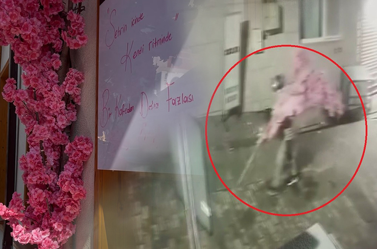 Bursa'da Tarihi Caddede İlginç Hırsızlık: Süs Ağacını Söküp Götürdü