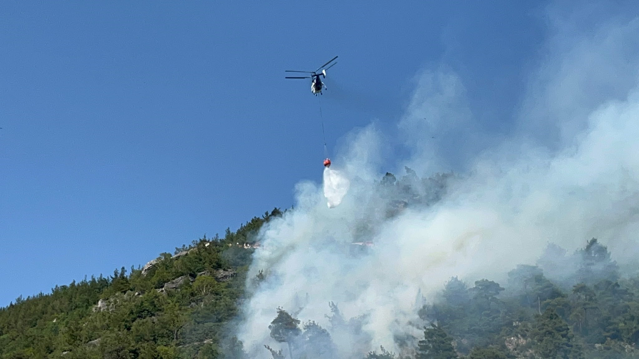 Bursa'daki orman yangınında 1 kişi gözaltına alındı