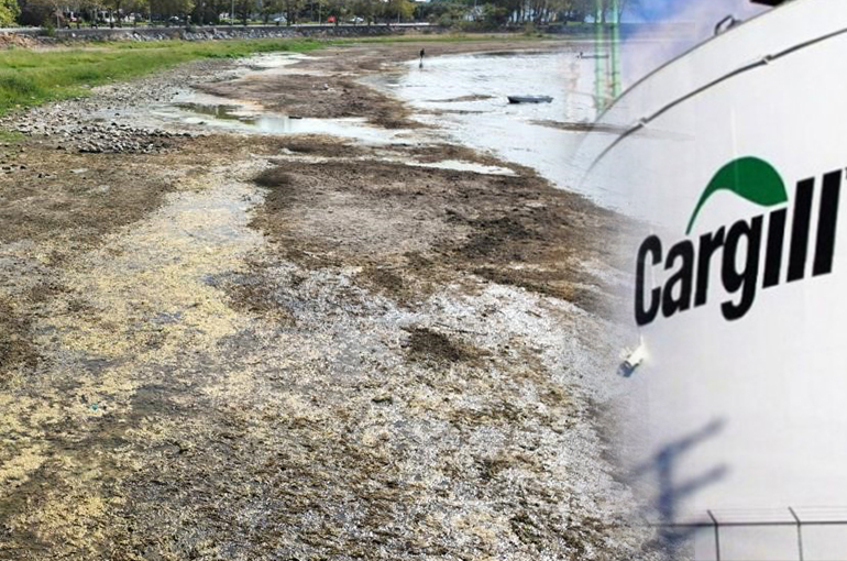 Cargill’in Yer Altı Su Kullanımı İznik Gölü'nü Tehdit Ediyor!