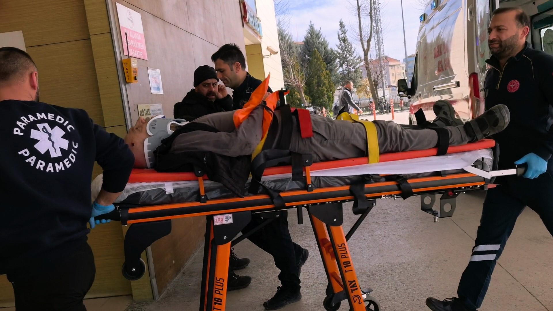 Ceviz ağacından düşen yaşlı adam ağır yaralandı