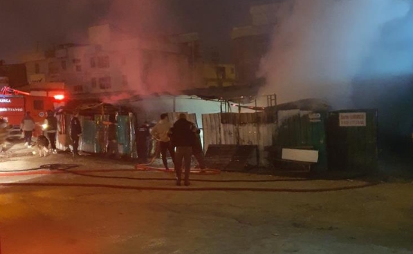 Çiftlik, alevlere teslim oldu