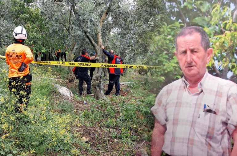 Emekli öğretmen zeytinlikte asılı bulundu!