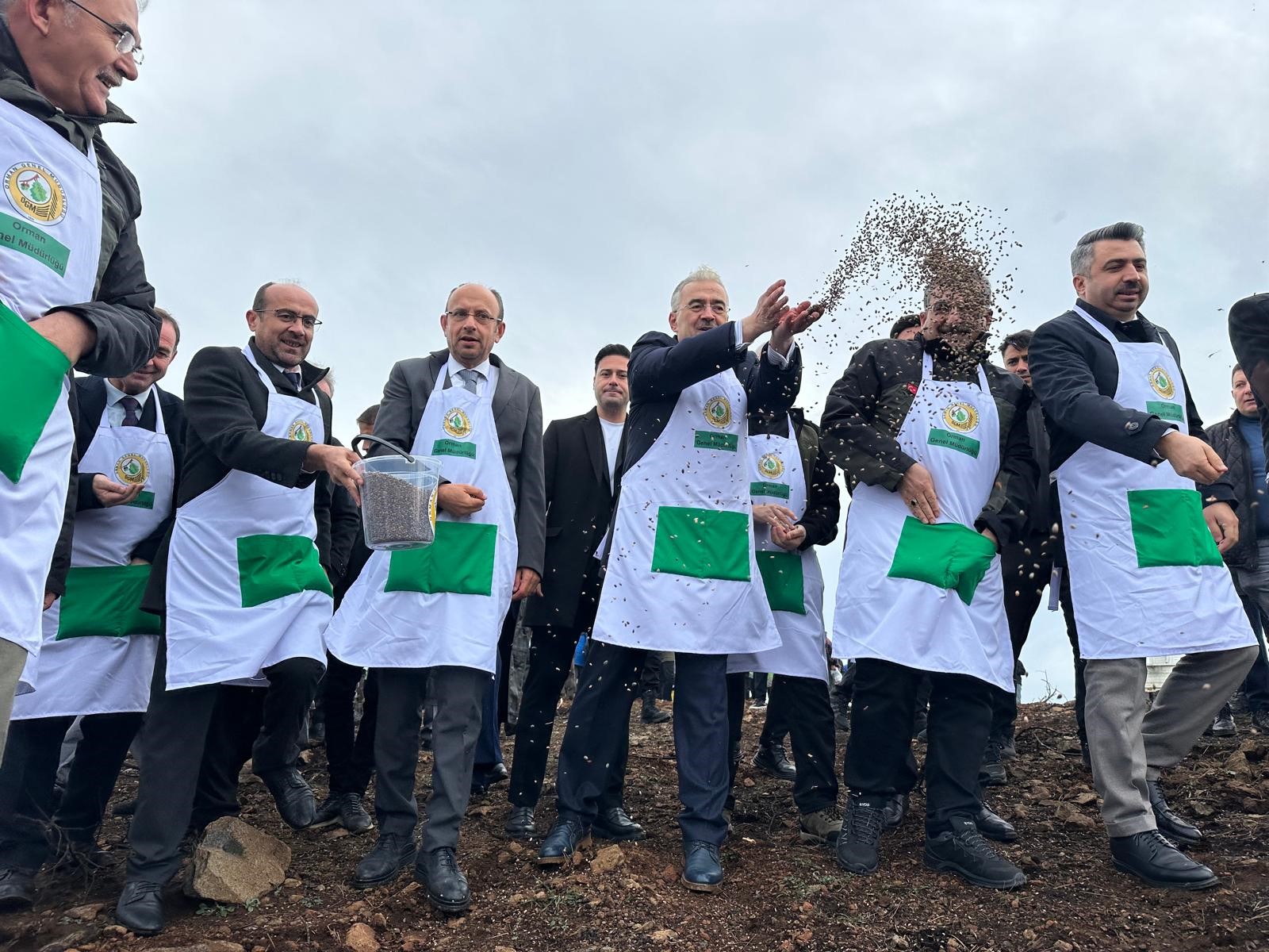 Harmancık'ta yanan 4 bin 256 hektar alan ağaçlandırılıyor