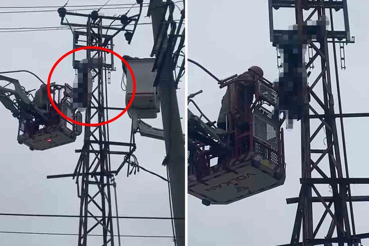 Hırsızlık için çıktığı elektrik direği sonu oldu