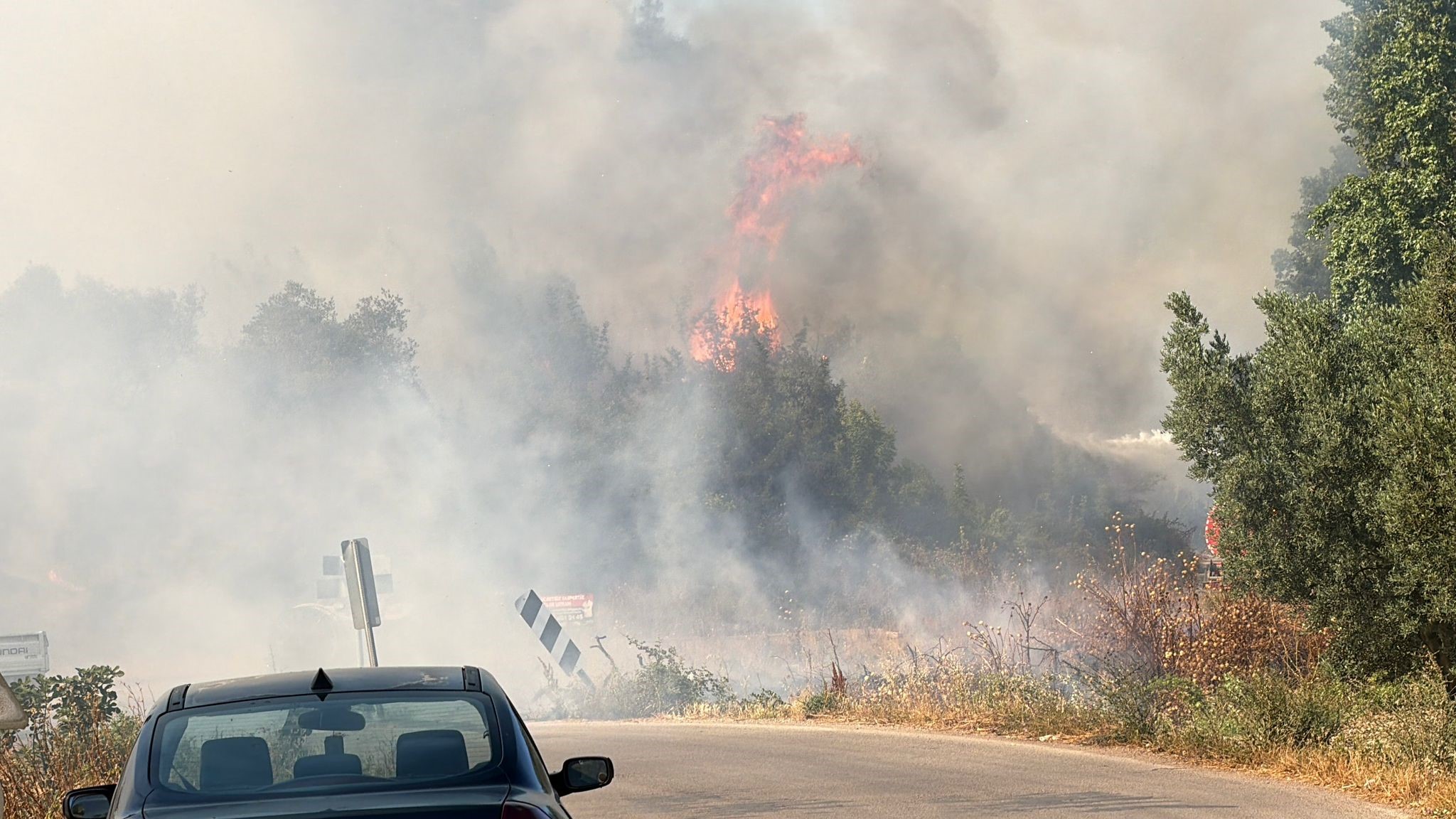 İznik'te Çöp Tesisi Yangını Ormana Sıçradı