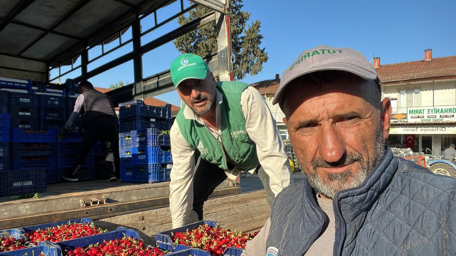 İznik’te mevsimin ilk karabodur kirazı hasadı başladı