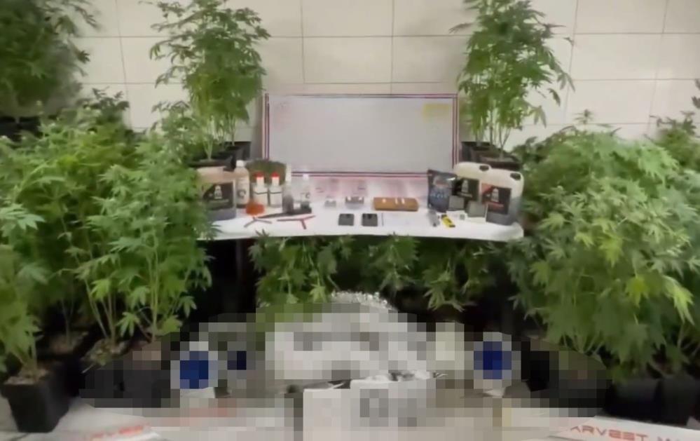 Jandarmadan uyuşturucu operasyonu! Evde üretim düzeneği kurmuş