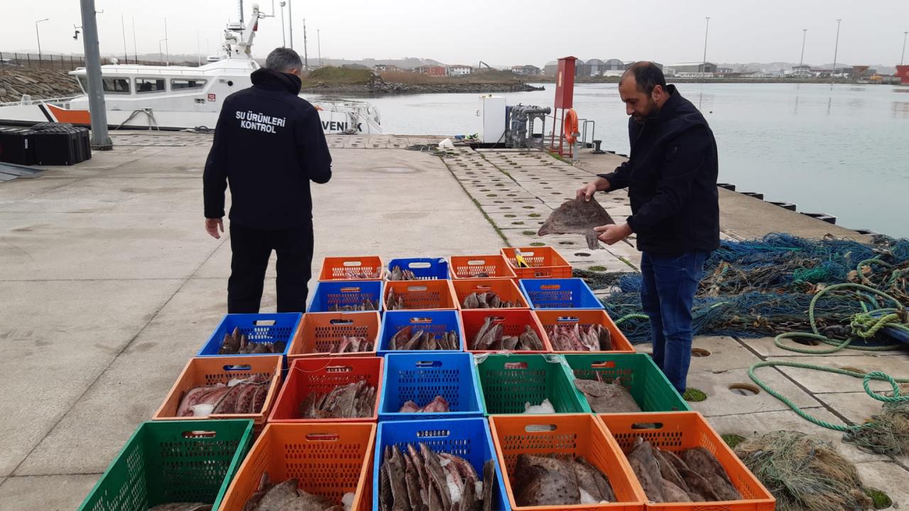 Kaçak avlanan 850 kilo kalkan balığına el konuldu