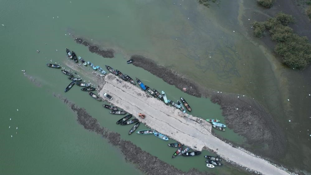 Karacabey'de çeltik ekimi yasaklandı