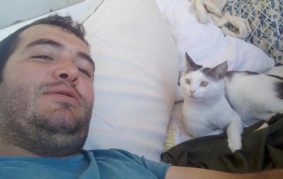 Kaybolan kedisini bulana 10 bin lira para ödülü verecek!