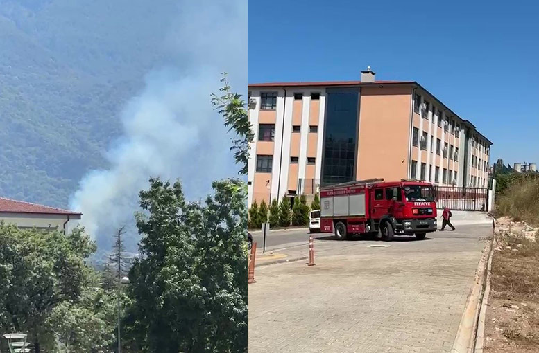 Kestel'deki orman yangını söndürüldü