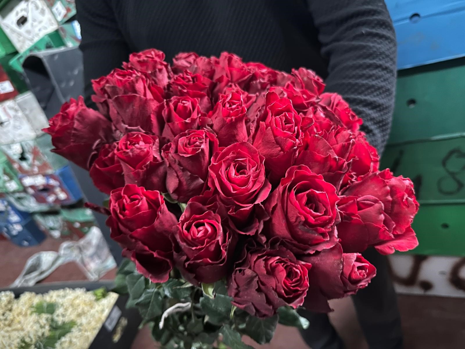 Kırmızı gülü yağış vurdu: Kenya ve Uganda gülleri revaçta