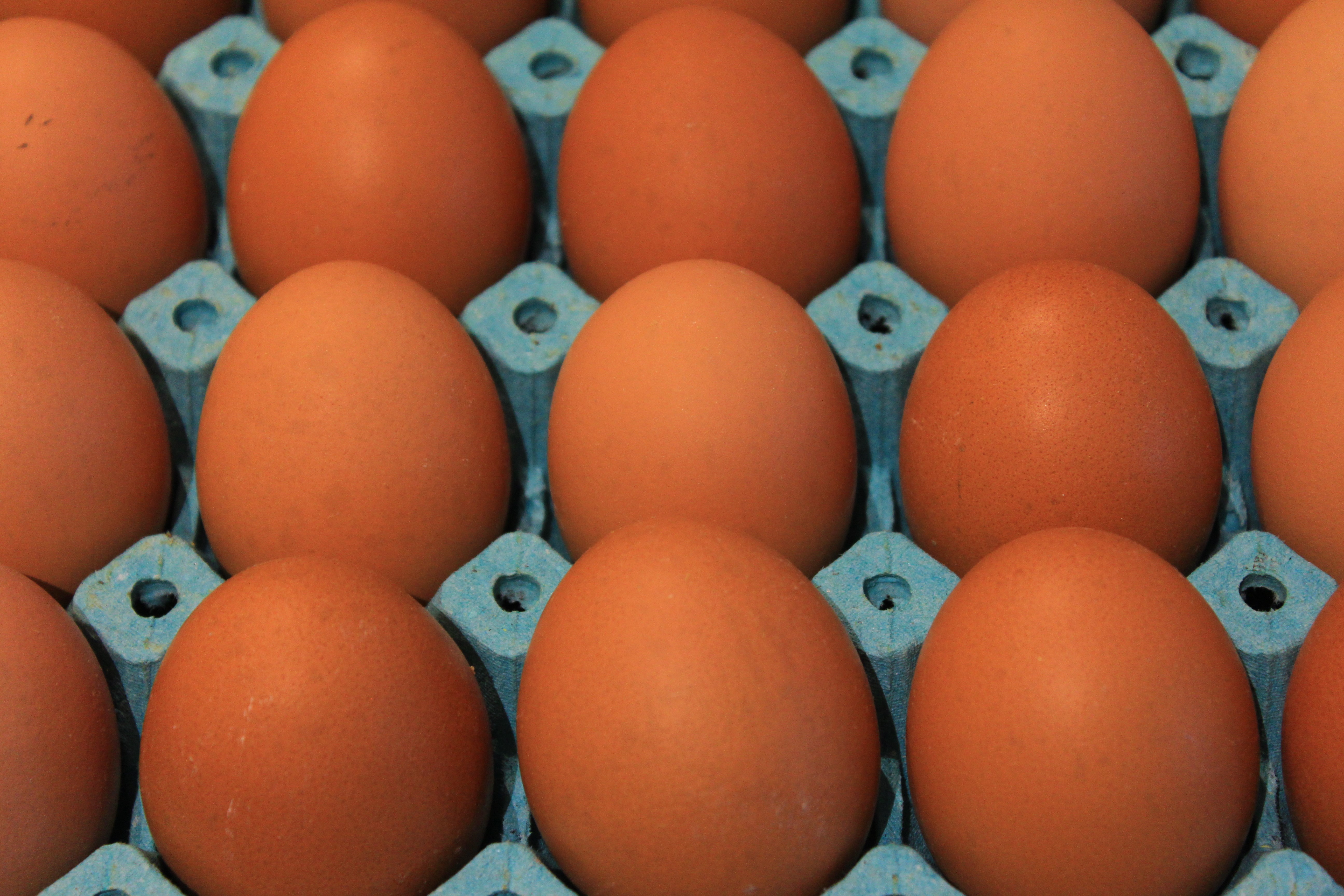 Kişi başına düşen yumurta üretimi 15 adet azaldı