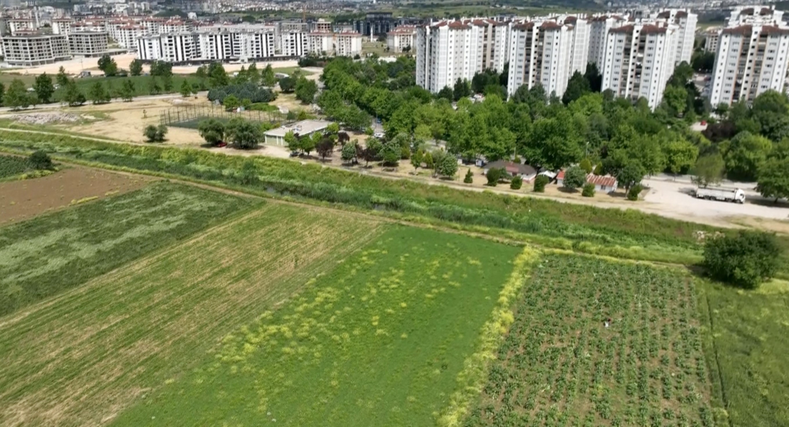 Milyonlarca liralık konutların arasında tarımsal üretim mücadelesi