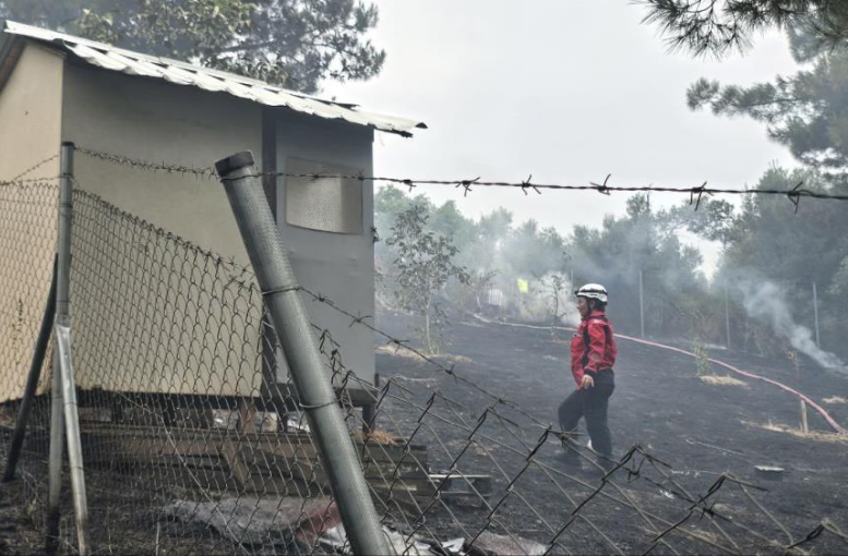 Mudanya'da korkutan yangın! Zeytinlik ve ormanlık alana sıçradı