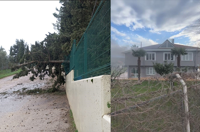 Mudanya'da lodos ve yangın paniği