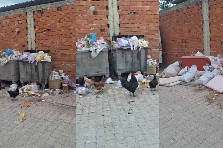 Mustafakemalpaşa’da Biriken Çöpler Mahalleliyi İsyan Ettirdi