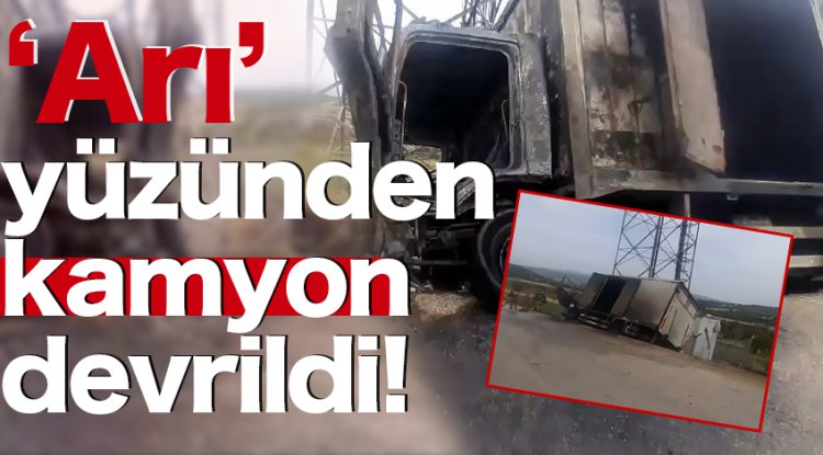 Arı yüzünden devrilen kamyon yandı
