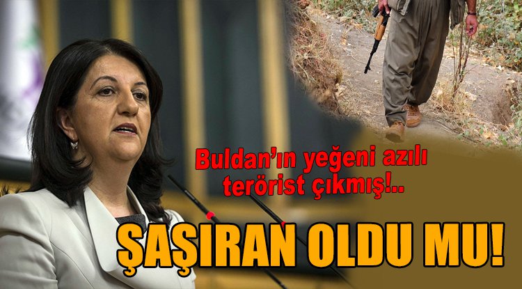 Buldan'ın yeğeni azılı terörist çıktı!.. Şaşıran oldu mu!