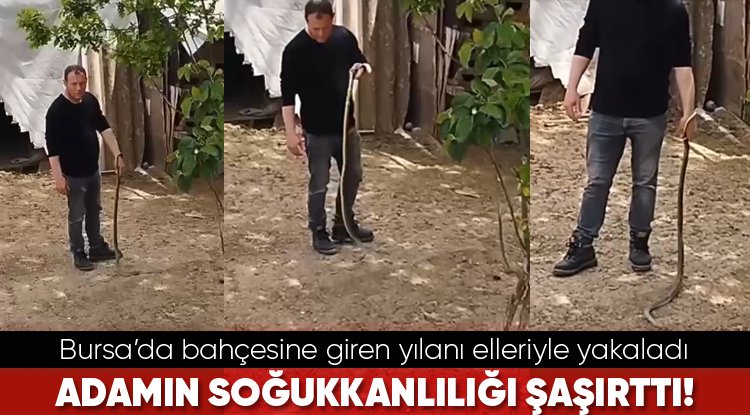 Bursa’da bahçesine giren yılanı elleriyle yakaladı