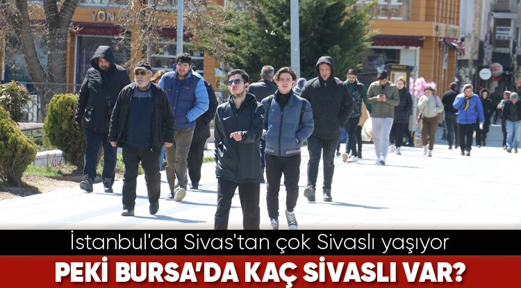 Bursa'da kaç Sivaslı var?