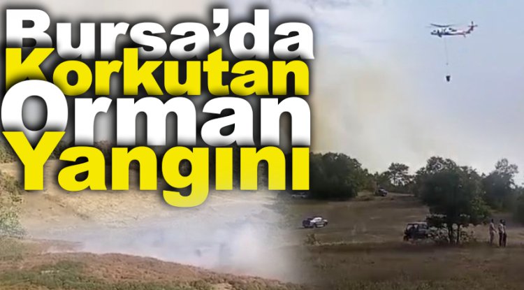 Bursa'da korkutan orman yangını