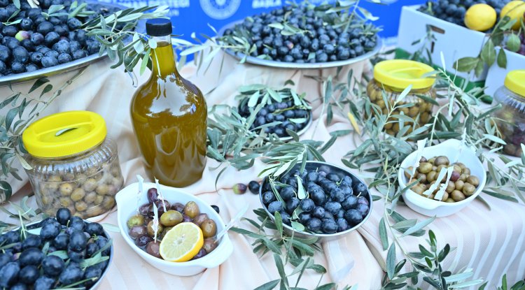 Bursa'da "Zeytin, Zeytinyağı ve Yan Ürünler: Önemi ve Geleceği Çalıştayı" düzenlendi