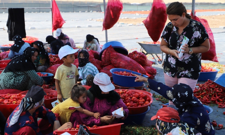İsot mesaisi yapanlara güneş uyarısı
