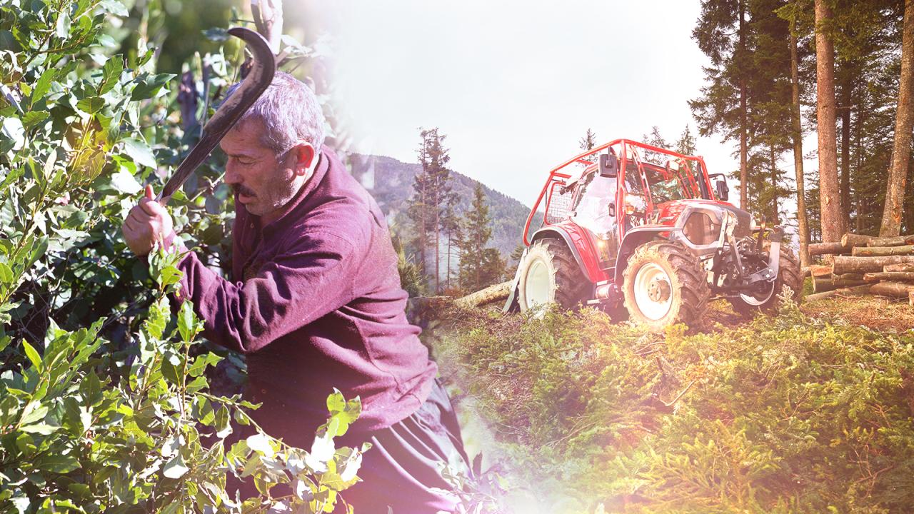 Orman köylüsü ailelere 2,55 milyar lira destek sağlandı