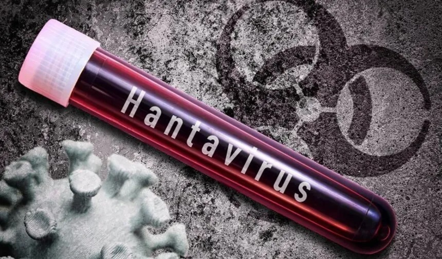 Sağlık Bakanlığı'ndan "hantavirüs" açıklaması