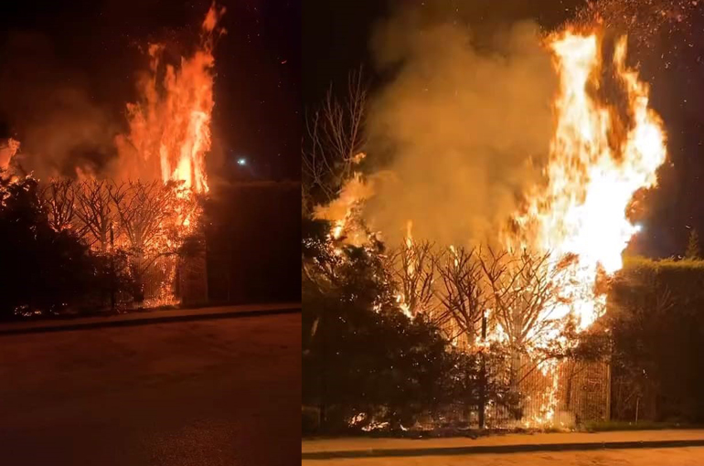 Sebepsiz yere ateşe verilen ağaç itfaiyeyi harekete geçirdi