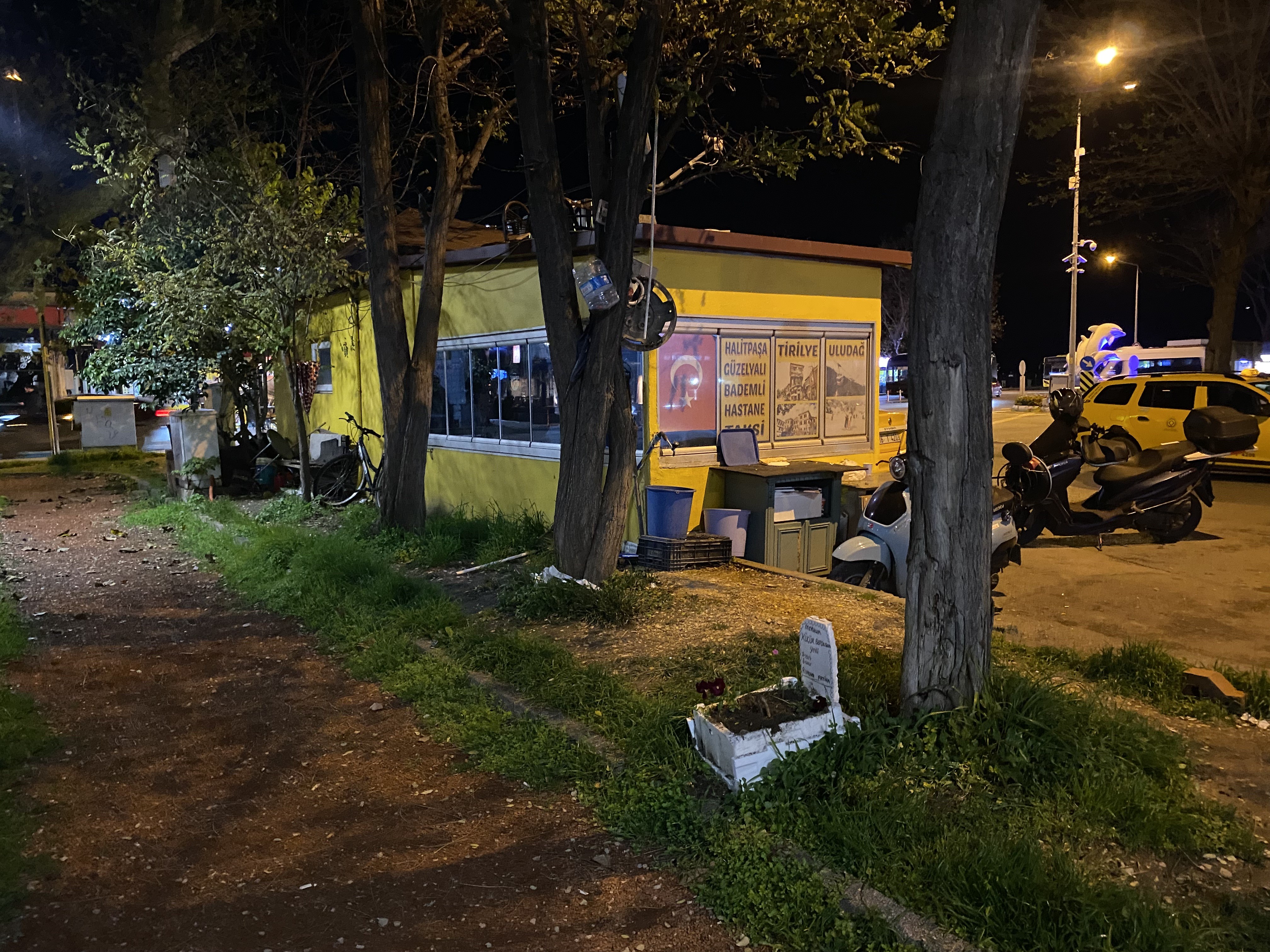 Taksicilerden vefa... Ölen muhabbet kuşları için mini mezar yaptılar