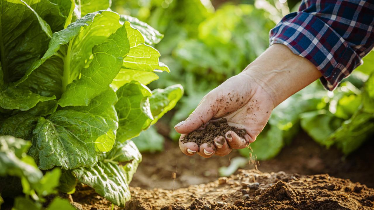 Tarım sezonu yağışlarında rekor artış